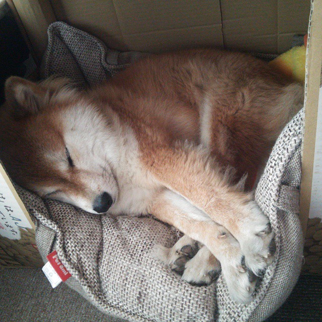 开云网页版-世俱杯精彩瞬间：那些令人热血沸腾的比赛高潮，世俱杯知乎