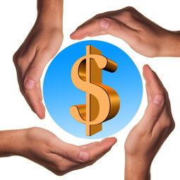 开云官方网站-中国篮球教练员心理素质提升途径，中国篮球教练员心理素质提升途径包括