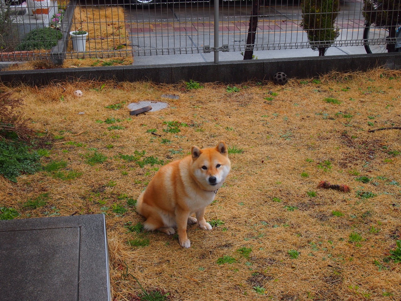 kaiyun体育app-世界杯精彩瞬间合集:令人铭记毕生的比赛片段,世界杯精彩瞬间视频