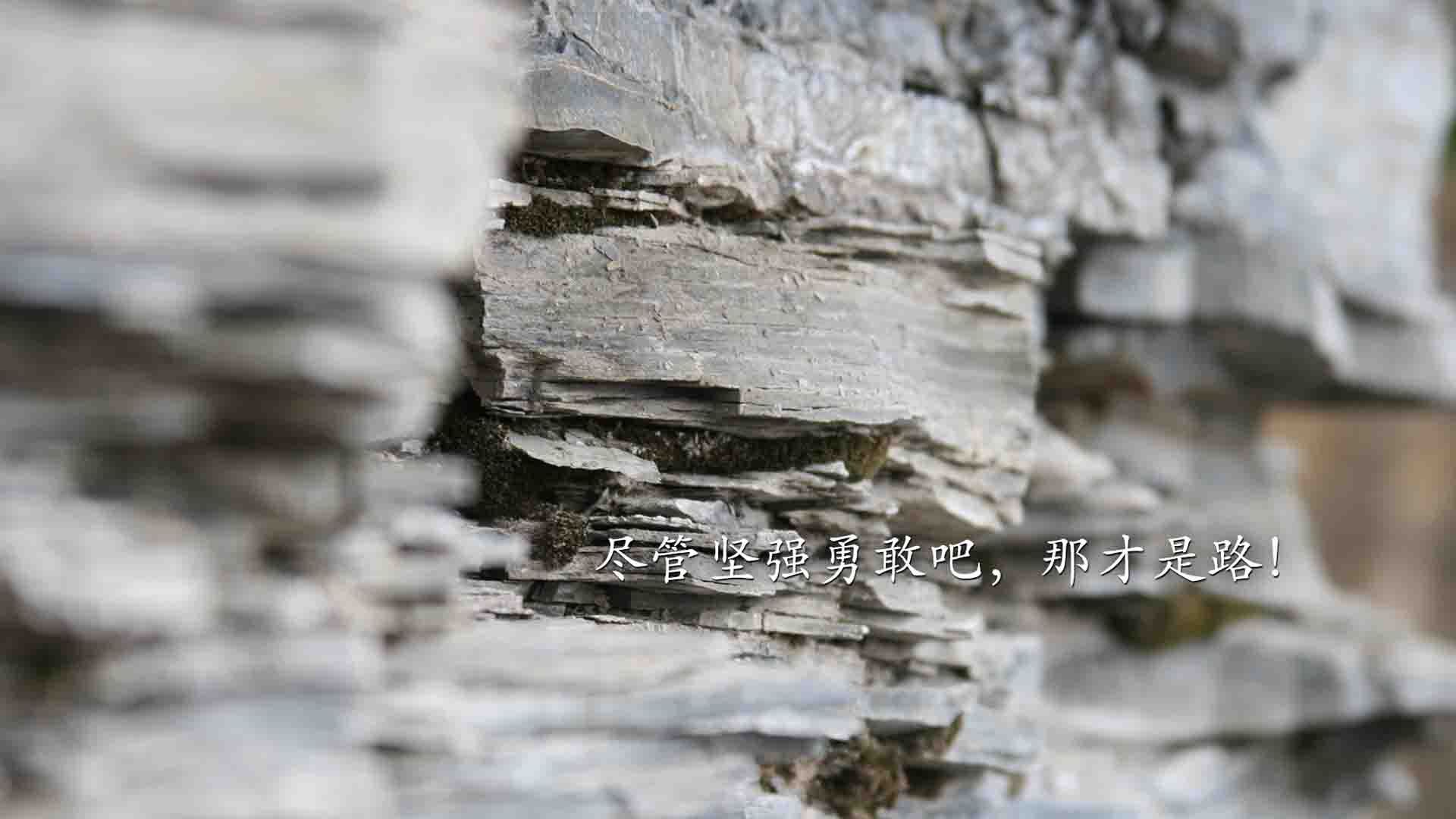 开云网页版登录入口-中国足球俱乐部社区合作项目成效显著,中国足球职业俱乐部的发展