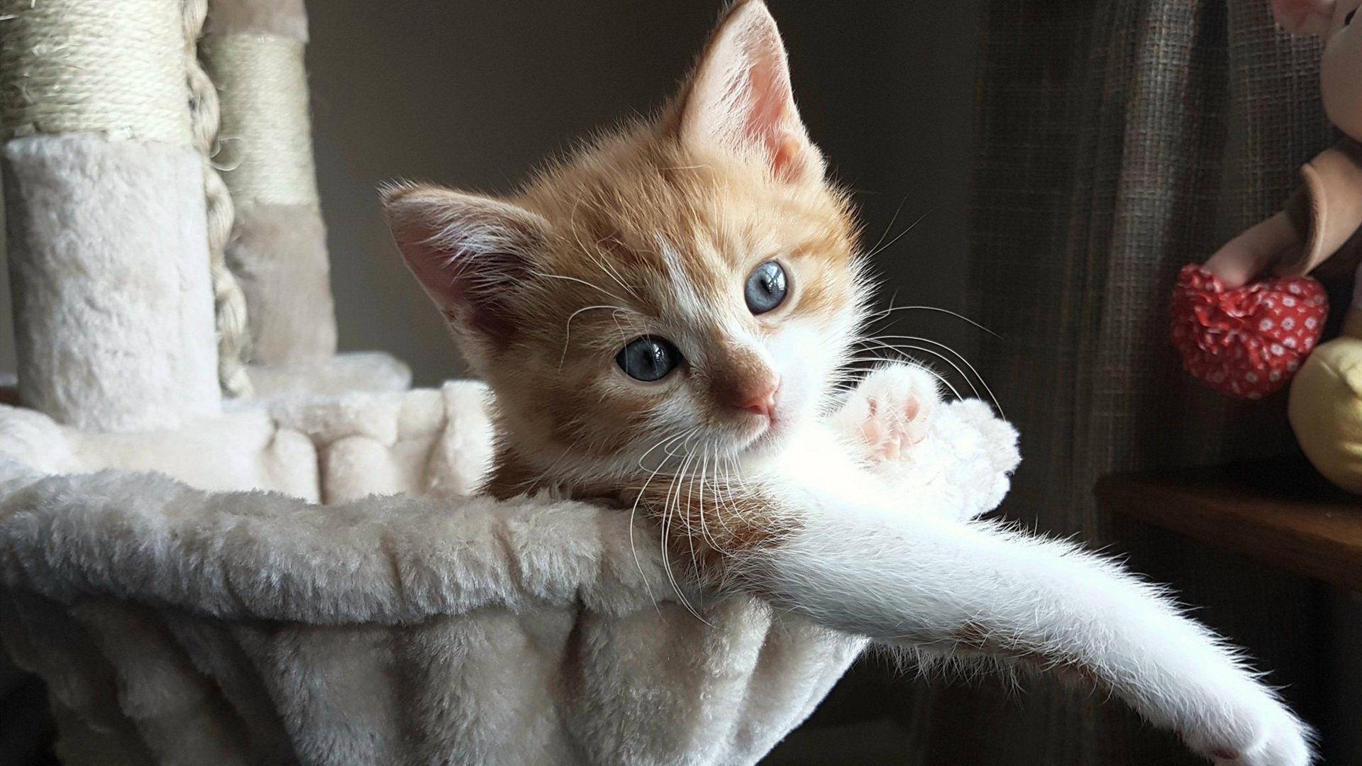 kaiyun官方网站-球队海外训练营回访，适应性训练成果明显，海外训练是什么意思