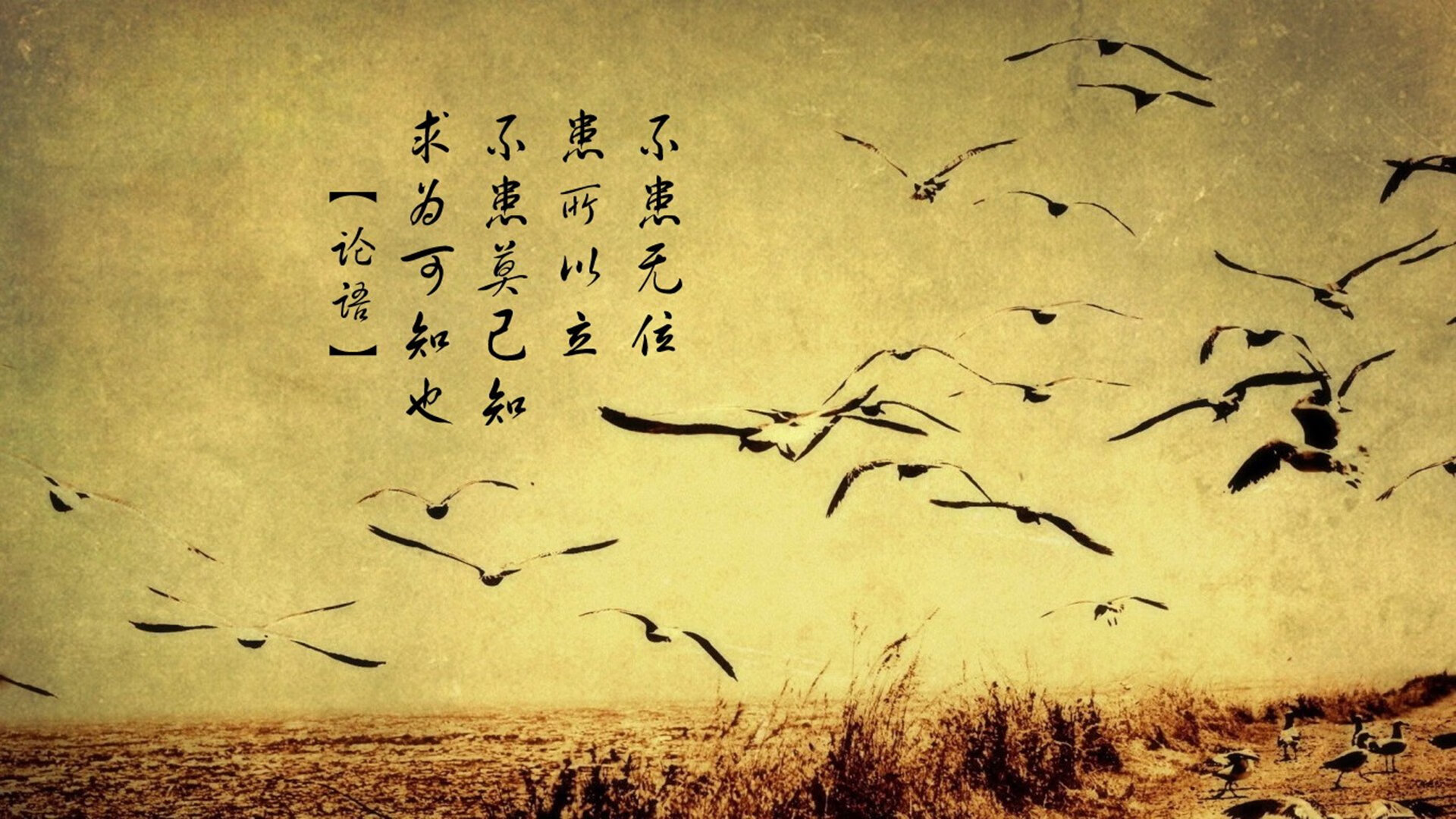 开云中国-足球直播平台上线多语言解说功能,足球直播叫什么