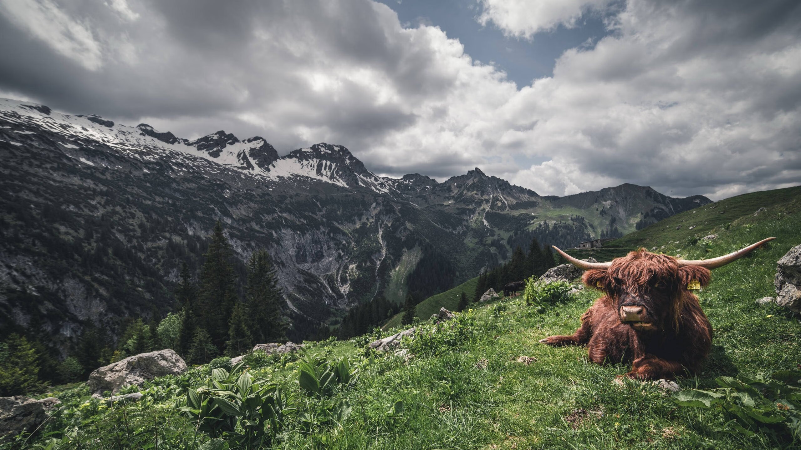 开云网页版-中超8月颁奖 蓉城主帅锋霸荣膺双料最佳，中超mvp