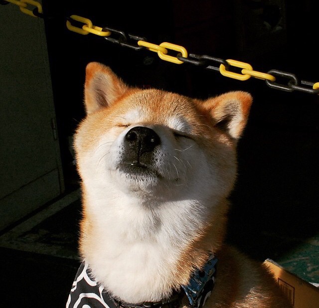 开云官网-体育新闻中心打造全景式记录体育科技发展的内容系统,体育新闻可视化