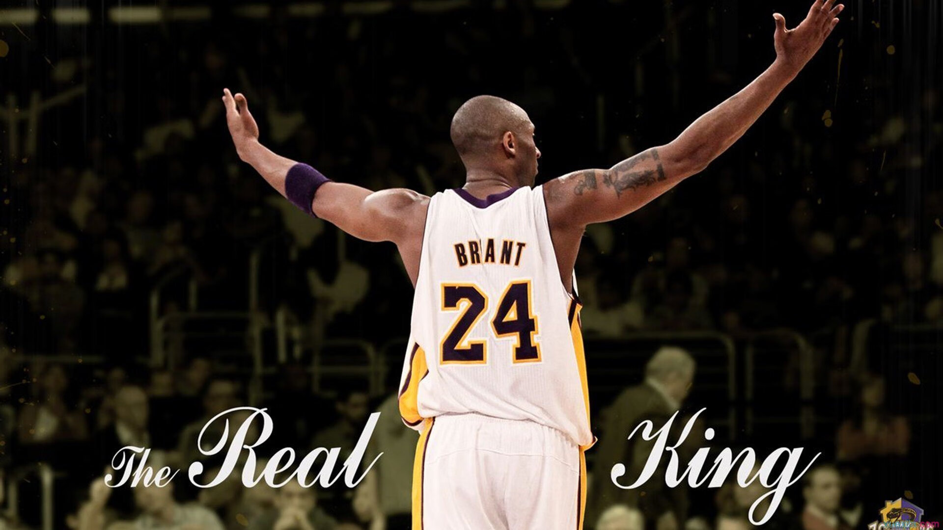 2026篮球球队实力排行，篮球队排名前十名是谁